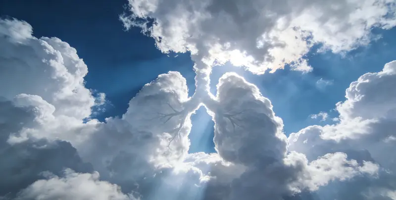 松原肺癌靶向120基因检测（组织）图片1