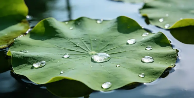 松原乳腺癌21基因mRNA表达分析图片1