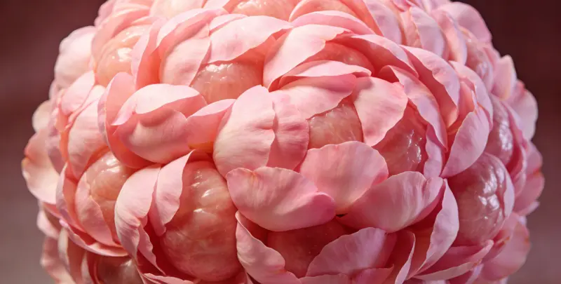 松原BRCA1/2乳腺癌卵巢癌基因检测图片1